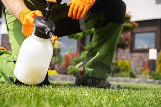 Professional Pest Control in Turnersville, NJ