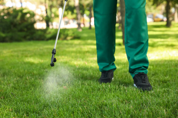 Flea Control Services in Turnersville, NJ